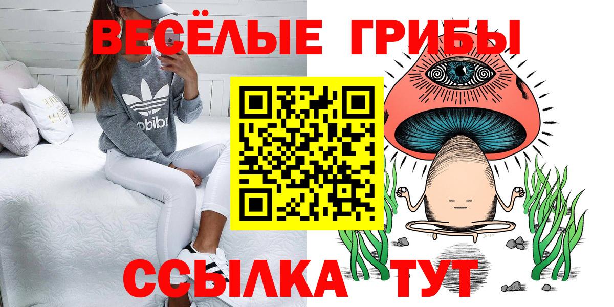 Псилоцибиновые грибы GOLDEN TEACHER Бутурлиновка